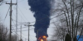 ABD’de kimyasal madde yüklü trenin karıştığı kazada 43 binden fazla su canlısı öldü