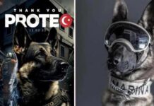 Asker ‘Proteo’nun’ heykeli dikilecek