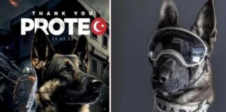 Asker ‘Proteo’nun’ heykeli dikilecek