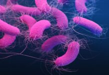 Can alan yeni salgın hızla yayılıyor. Uzmanlardan uyarı; Sakın kullanmayın