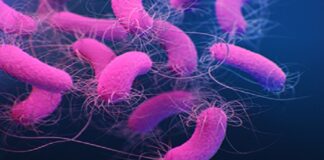 Can alan yeni salgın hızla yayılıyor. Uzmanlardan uyarı; Sakın kullanmayın