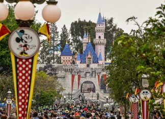 Feshedildi. Walt Disney ‘özerk’ değil