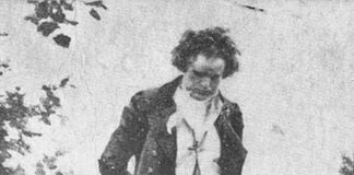 Beethoven’ım sağlık sorunları nelerdi ? DNA incelemesi bunu cevaplamadı, ancak bir sürpriz: Besteci evlilik dışı bir ilişkiden doğmuştu!