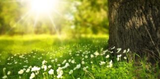 Düşüre düşüre 2023’ün cemrelerini de tükettik: Son cemre yarın toprağa düşecek