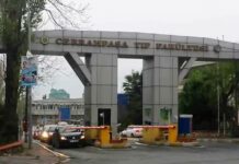 Deprem riski nedeniyle hizmetlerin durdurulduğu Cerrahpaşa’da, yarından itibaren tekrar hizmet verilmeye başlanacak.