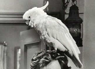 Bir kuşağın sevilen dizisi ‘Baretta’;Robert Blake hayatını kaybetti