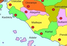 Profesör Görür: “Pendik, Tuzla, Maltepe, Kartal, Kadıköy’den kuzeye gidince sağlam zeminleri görüyorsunuz”