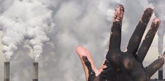 Dünya ölmüş de ağlayanı yok! Yerkürenin neredeyse hiçbir yeri zehirli hava açısından güvenli değil.