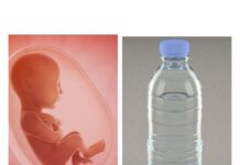 Hamile Kadınlar ! Pet şişe kullanmayın; Mikro ve nano plastikler cenine ulaşabilir!