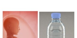 Hamile Kadınlar ! Pet şişe kullanmayın; Mikro ve nano plastikler cenine ulaşabilir!