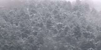 İstanbul’a bu sabah kar yağdı. Meteoroloji’den kar, şiddetli yağmur ve fırtına uyarısı!