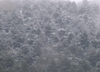 İstanbul’a bu sabah kar yağdı. Meteoroloji’den kar, şiddetli yağmur ve fırtına uyarısı!