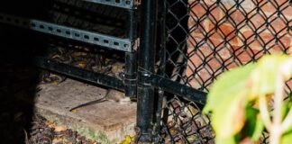 New York’a fareden sorumlu ‘Şerif’ atandı!