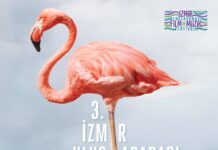 İzmir Uluslararası Film ve Müzik Festivali 16 Haziran’da başlıyor; Festivalde, Kristal Flamingolar ödülleri de sahiplerini bulacak
