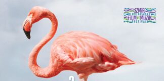 İzmir Uluslararası Film ve Müzik Festivali 16 Haziran’da başlıyor; Festivalde, Kristal Flamingolar ödülleri de sahiplerini bulacak