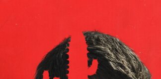 Canberk TURAN; Netflix… BOĞA BOĞA