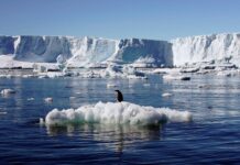 📽️Grönland ve Antarktika’da buz tabakaları hızla eriyor; Deniz seviyesi korkutucu biçimde yükseliyor!