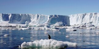 📽️Grönland ve Antarktika’da buz tabakaları hızla eriyor; Deniz seviyesi korkutucu biçimde yükseliyor!