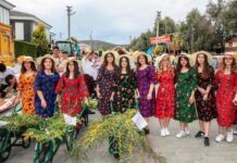 Tabiata özlem: Milyonlar koştu; Alaçatı Ot Festivali başladı…