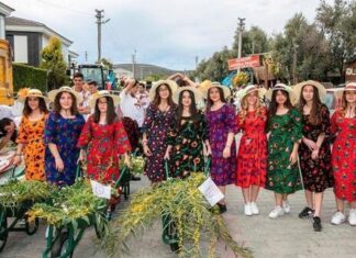 Tabiata özlem: Milyonlar koştu; Alaçatı Ot Festivali başladı…