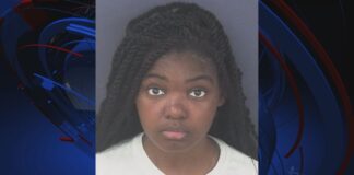 Fantazinin zirvesi: ABD’de ‘kız kavgaları’ düzenlemekle suçlanan öğretmen gözaltına alındı