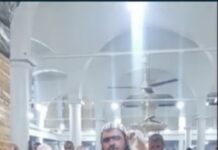 📽️En çok izlenenler arasına girdi: Cezayir’de bir kedi teravih namazı kıldıran imamı yalnız bırakmadı!