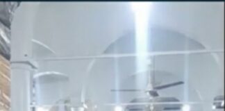 📽️En çok izlenenler arasına girdi: Cezayir’de bir kedi teravih namazı kıldıran imamı yalnız bırakmadı!