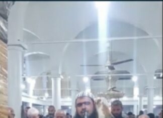 📽️En çok izlenenler arasına girdi: Cezayir’de bir kedi teravih namazı kıldıran imamı yalnız bırakmadı!