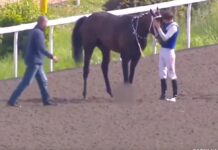 📽️Jokey ile at’ının ağlatan vedası…