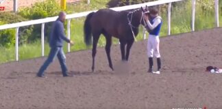 📽️Jokey ile at’ının ağlatan vedası…