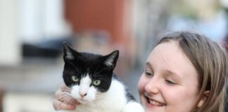 ‘Hırsız’ Kedi: O kadar çok eşya çalıyor ki sahibi ona bir klepto-kedi kutusu yaptı ve Facebook’ta mağdurlar için bir sayfa oluşturdu