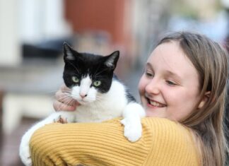 ‘Hırsız’ Kedi: O kadar çok eşya çalıyor ki sahibi ona bir klepto-kedi kutusu yaptı ve Facebook’ta mağdurlar için bir sayfa oluşturdu