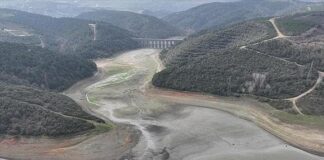 Mayıs başı itibarıyla İstanbul’da Barajların doluluk oranları hangi düzeyde?