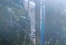 4 kişinin öldüğü düşen uçakta 4 çocuğa sağ ulaşıldı; biri 11 aylık bebek!