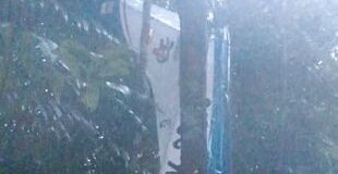 4 kişinin öldüğü düşen uçakta 4 çocuğa sağ ulaşıldı; biri 11 aylık bebek!