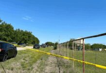 Bahçe değil, adeta mezarlık. 7 ceset bulundu