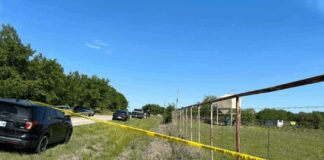 Bahçe değil, adeta mezarlık. 7 ceset bulundu