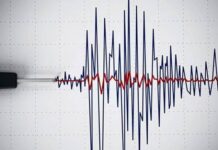 Malatya: 4.6!