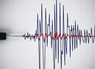 Malatya: 4.6!