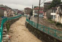 Sel can aldı: Samsun ve Amasya’da birer kişi hayatını kaybetti, 4 ilçede eğitime ara verildi
