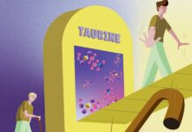 Bu o “Yaşam iksiri” mi… Taurinin, bazı hayvanlarda yaşamı uzattığı ve sağlığı iyileştirdiği belirtildi.