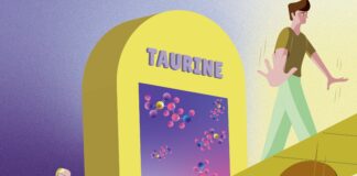 Bu o “Yaşam iksiri” mi… Taurinin, bazı hayvanlarda yaşamı uzattığı ve sağlığı iyileştirdiği belirtildi.