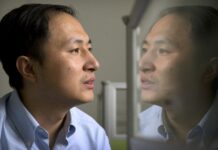 ‘Gene hacking’ ile kellerin saçlarının çıkmasını sağlayacak umut verici çalışma!