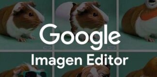 ‘Imagen Editor AI’ ile Photshop son zamanlarını mı yaşıyor.