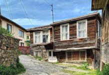 ŞİLE… BU NASIL BİR ARTIŞ ORANI BÖYLE: %884 !