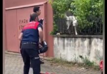📽️ Bütün mahalleyi ve itfaiyeyi ‘kandıran’ numaracı köpek!