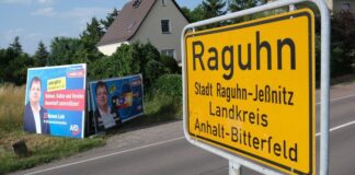 Almanya’da ilk kez aşırı sağcı AfD, bir belediye başkanı çıkardı.