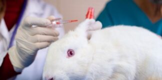 Kanada’da kozmetik ürünlerin hayvanlar üzerinde test edilmesi yasaklandı