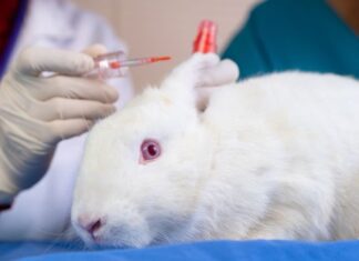 Kanada’da kozmetik ürünlerin hayvanlar üzerinde test edilmesi yasaklandı