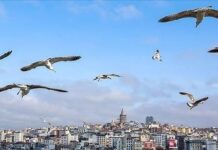 Yüksek hava sıcaklıkları. bazı bölgelerde mevsim normalleri altına düşecek; akşam İstanbul’da yağmur bekleniyor